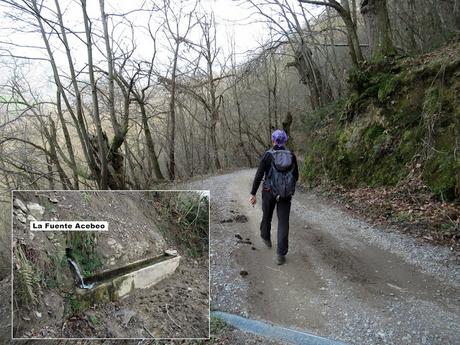 Soto-Castañeo-Castandiello-Llameres-Pineo-El Turnu