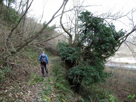 Soto-Castañeo-Castandiello-Llameres-Pineo-El Turnu