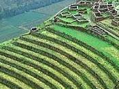 Historia-Imperio Inca 7/10