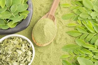 La moringa, sus beneficios y como consumirla