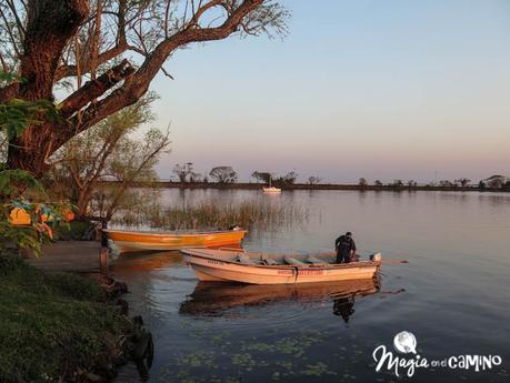 Consejos para visitar los Esteros del Iberá