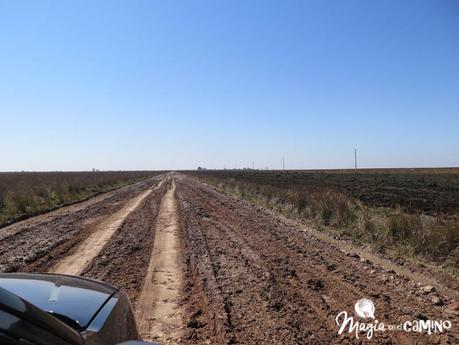 Consejos para visitar los Esteros del Iberá