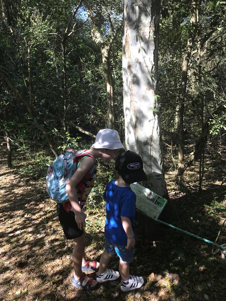 Consejos para visitar los Esteros del Iberá