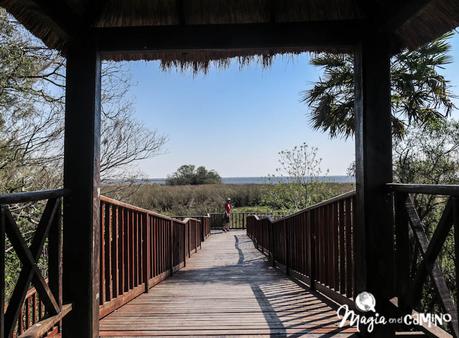 Consejos para visitar los Esteros del Iberá