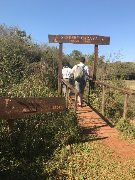 Consejos para visitar los Esteros del Iberá