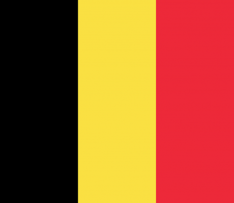 El Consejo Superior de Salud de Bélgica desaconseja el uso de las categorías DSM