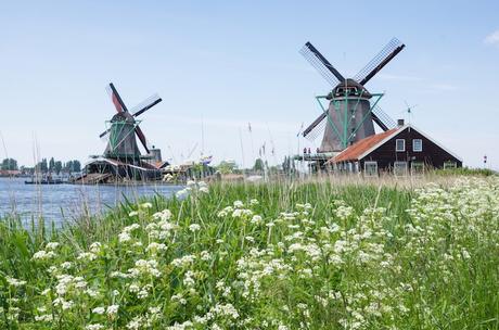 ▷ 12 regiones más bellas de los Países Bajos south_holland ▷ 12 regiones más bellas de los Países Bajos