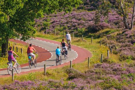 ▷ 12 regiones más bellas de los Países Bajos gelderland ▷ 12 regiones más bellas de los Países Bajos