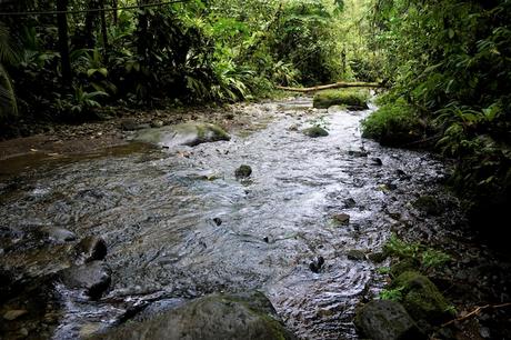 heredia ▷ 7 provincias más bellas de Costa Rica