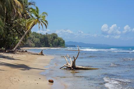 ▷ 7 provincias más bellas de Costa Rica limon ▷ 7 provincias más bellas de Costa Rica