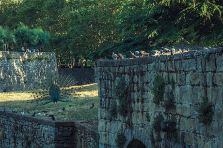 1568045607_642_Pamplona-mas-alla-de-los-Sanfermines Pamplona, más allá de los Sanfermines