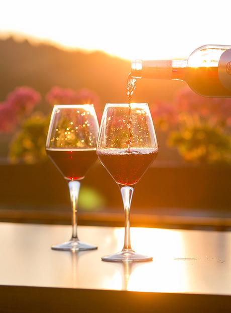 ▷ El mejor momento para visitar Portugal wine-vineyard-portugal ▷ El mejor momento para visitar Portugal