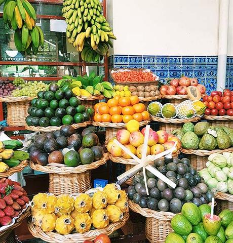 fruit-portugal ▷ El mejor momento para visitar Portugal