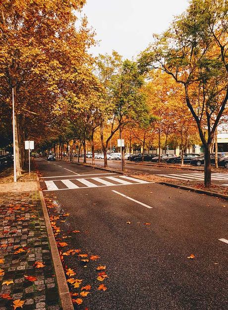 ▷ El mejor momento para visitar Portugal autumn-in-portugal ▷ El mejor momento para visitar Portugal