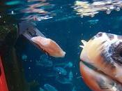 tortuga Federica disfruta nueva vida Loro Parque