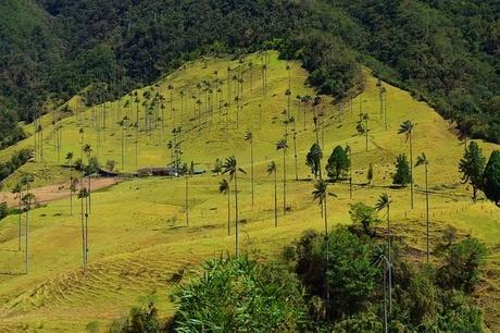 Viaje a Colombia de 2 semanas: lo mejor que ver y hacer