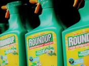 Alemania prohíbe Glifosato partir 2023