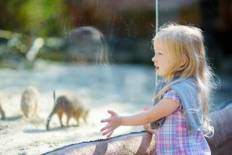 Actividades infantiles para las vacaciones Actividades infantiles para las vacaciones