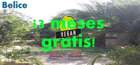 ¡ATENCIÓN VEGANOS!: Resort vegano ofrece meses estadia 