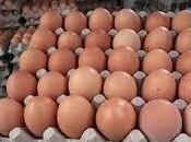 Boicot huevos otros alimentos= abril económico porque sólo pueblo salva pueblo.