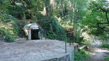 De Baixador de Vallvidrera a la Font de Can Llevallol | Serra de Collserola