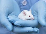 ¡Último minuto!: Agencia Protección Ambiental Estados Unidos planea ponerle prueblas animales