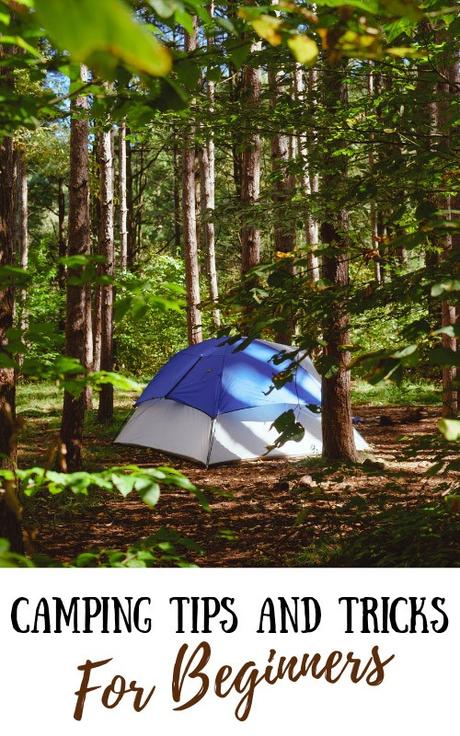 camping-for-beginners ▷ Consejos y trucos para acampar para principiantes: todo lo que necesita saber