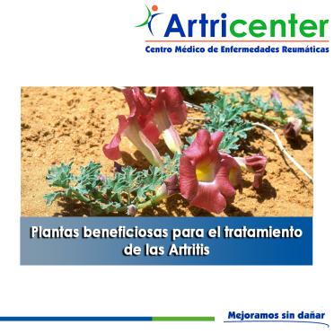 Artricenter: Plantas beneficiosas para el tratamiento de las Artritis. PARTE I