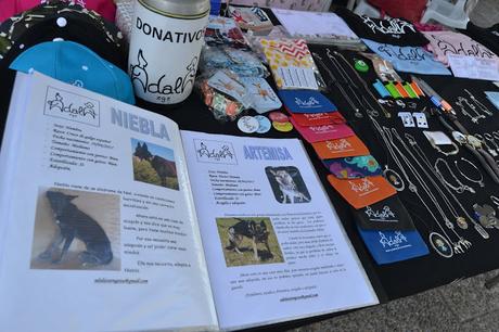 BLOGSSIPGIRL HA ESTADO ALLÍ: NIGHTMARKET (7 DE SEPTIEMBRE 2019) EN CAMPING ZARAGOZA BLOGSSIPGIRL HA ESTADO ALLÍ: NIGHTMARKET (7 DE SEPTIEMBRE 2019) EN CAMPING ZARAGOZA