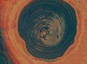 Santiago Eximeno: carne