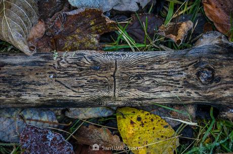 Profundas heridas superficiales