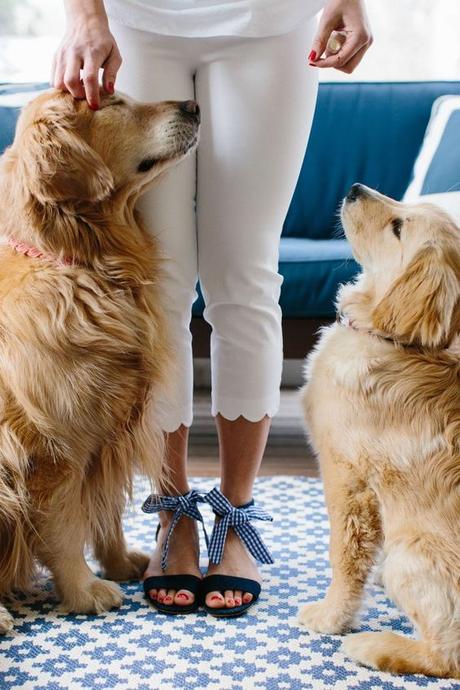 Inspiración: Pre-Fall Inspiración: Pre-Fall