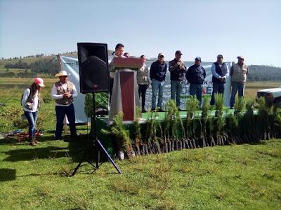 IMPULSA CEPANAF JORNADAS DE REFORESTACIÓN 2019 EN EDOMÉX