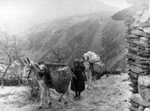 El siglo XX en la Sierra Norte de Guadalajara (II)