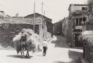 El siglo XX en la Sierra Norte de Guadalajara (II)