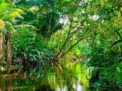 Este jueves......................amazonas