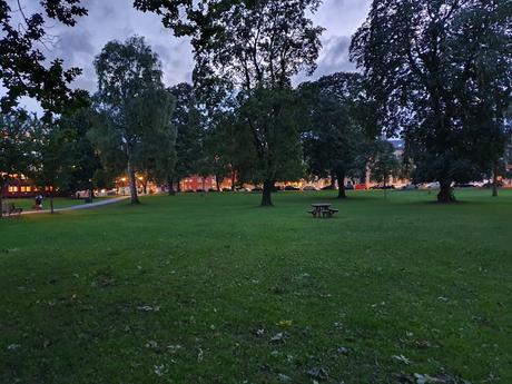 La ciudad sin perros en los parques