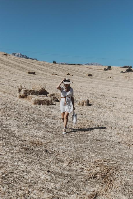 ENDLESS SUMMER ENDLESS SUMMER