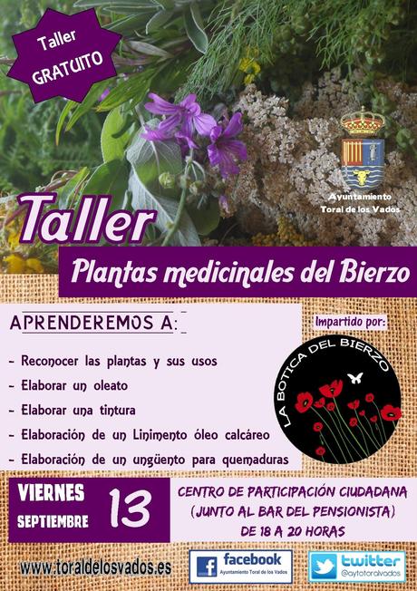 Planes para el fin de semana en el Bierzo. 13 al 15 de septiembre 2019