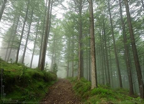 Ascensión al Gorbea desde el humedal de Saldropo