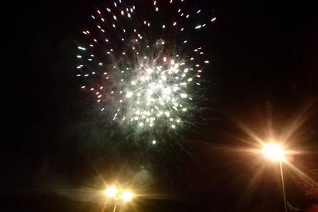 LOS PELIGROS Y DAÑOS QUE OCASIONA LA PIROTECNIA LOS PELIGROS Y DAÑOS QUE OCASIONA LA PIROTECNIA