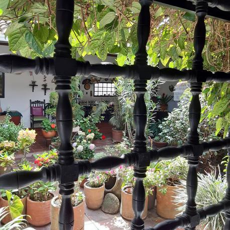 Para que quiero pies, si tengo alas para volar.....