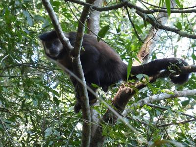 Cataratas del Iguazú: Argentina