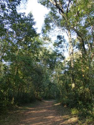 Cataratas del Iguazú: Argentina
