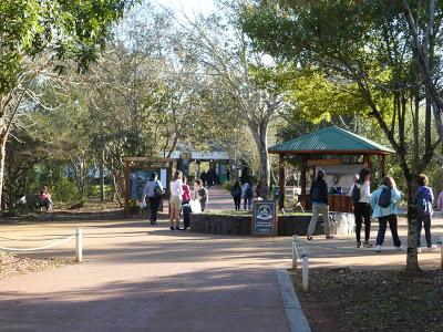 Cataratas del Iguazú: Argentina