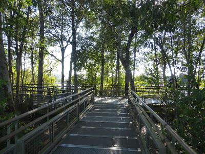 Cataratas del Iguazú: Argentina