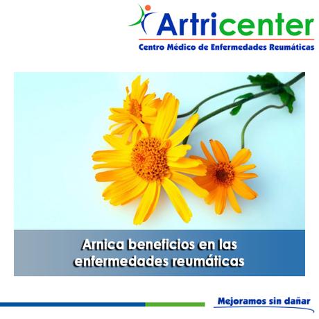 Artricenter: Arnica beneficios en las enfermedades reumáticas