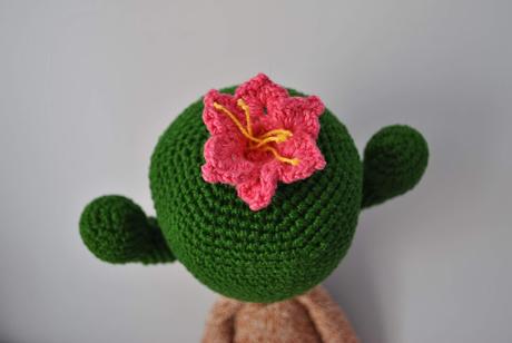 CACTUS CARL GANCHILLO CACTUS CARL GANCHILLO