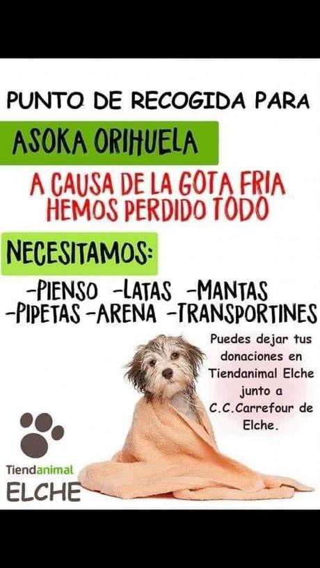 Recogida de material para Asoka Orihuela recogida material orihuela