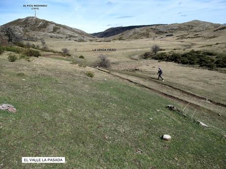 Taxa-Veiga Cueiro-Veiga Prao-Vicenturo